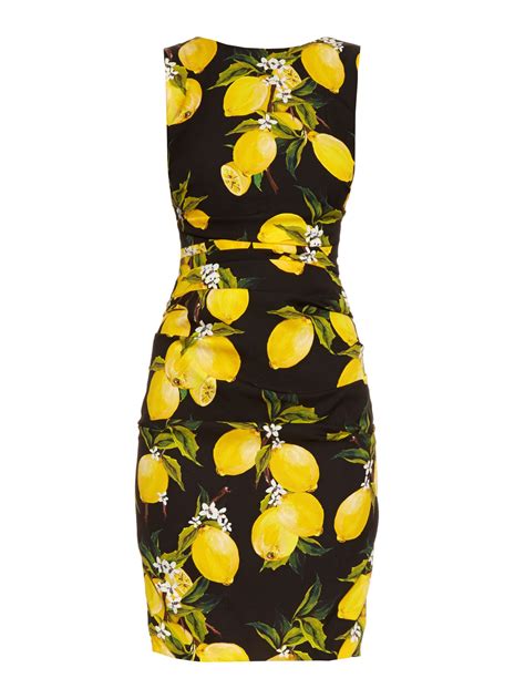 dolce gabbana black se print|dolce and gabbana lemon print.